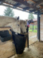 Nose Bagz Medium Flat Wall Hay Feeder