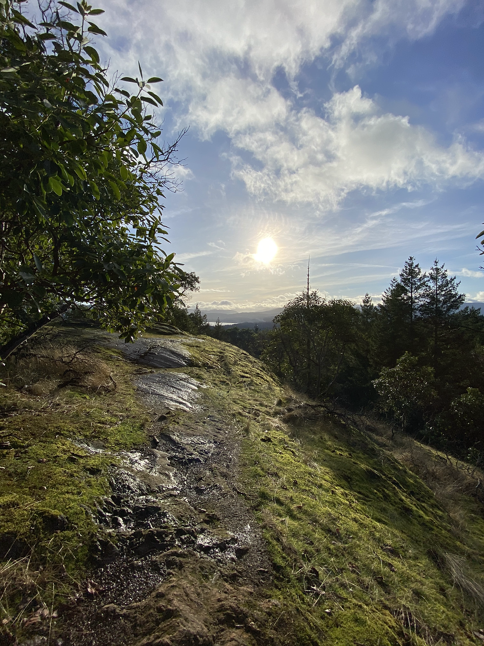 The painful reality of Miscarriage + RPL (recurrent pregnancy loss) ** Trigger warning