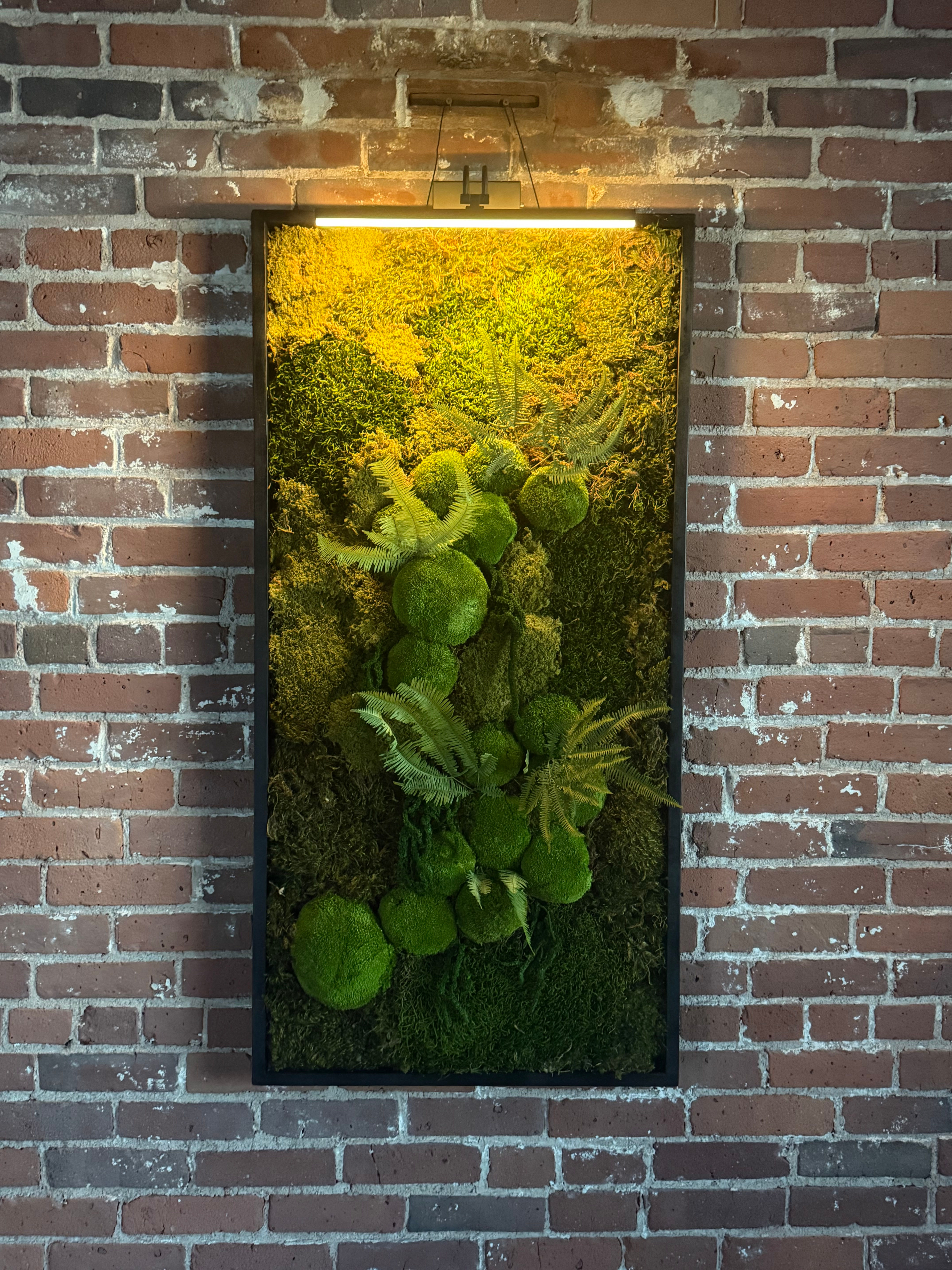 Preserved Moss Art