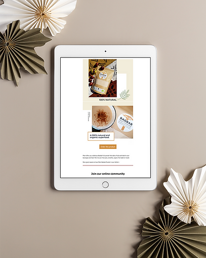 newsletter management mockup - Pilani -