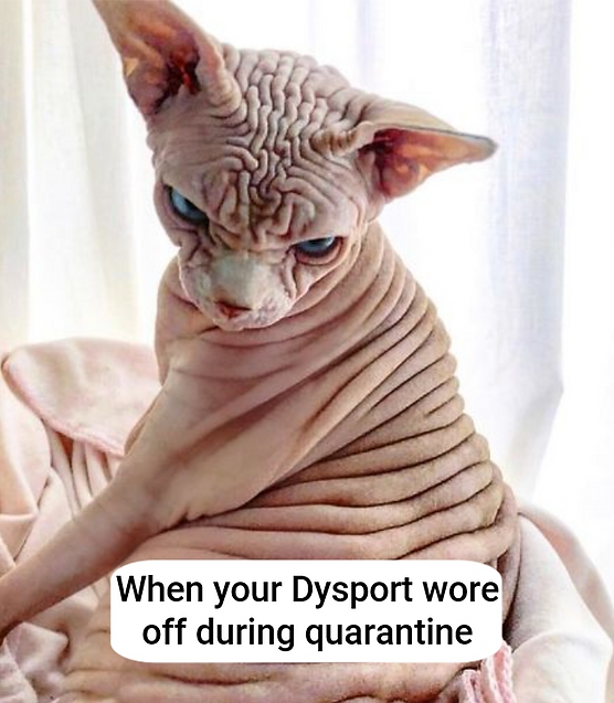 dysport cat (2).png