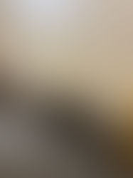 愛猫ハウスにアイデアリフォーム！