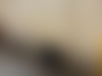 愛猫ハウスにアイデアリフォーム!