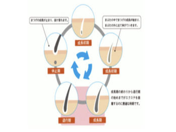 豆知識♪