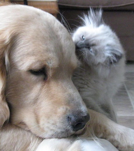 George and Olivia.JPG