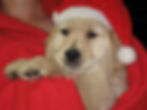 Ho Ho Ho Baby Kona.jpg