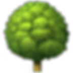 Deciduous Tree.png