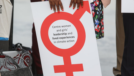 Climate Collapse is Feminist Collapse