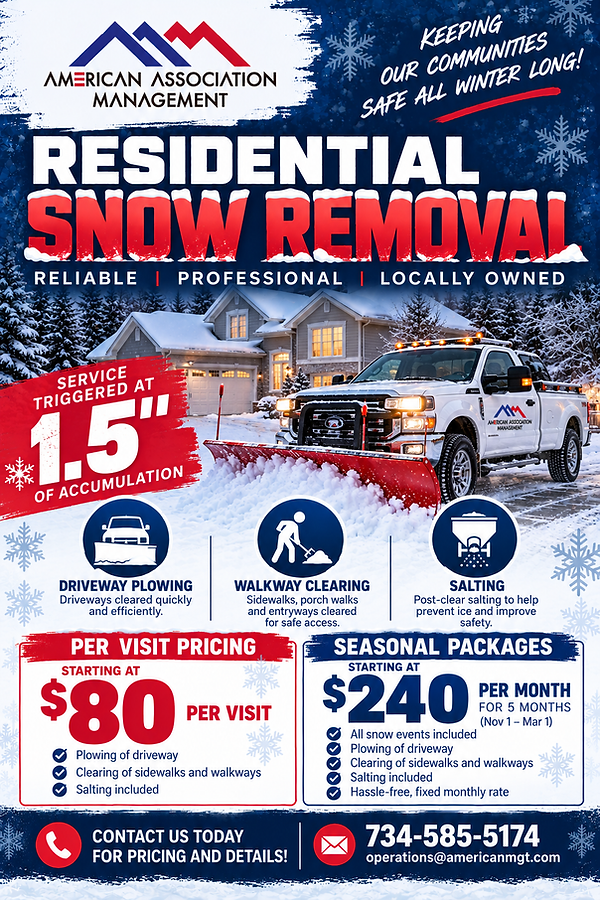 Winter Snow Removal Services Flyer.png