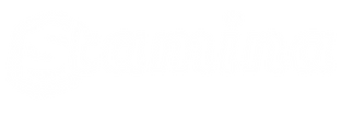 logo-stamina.png
