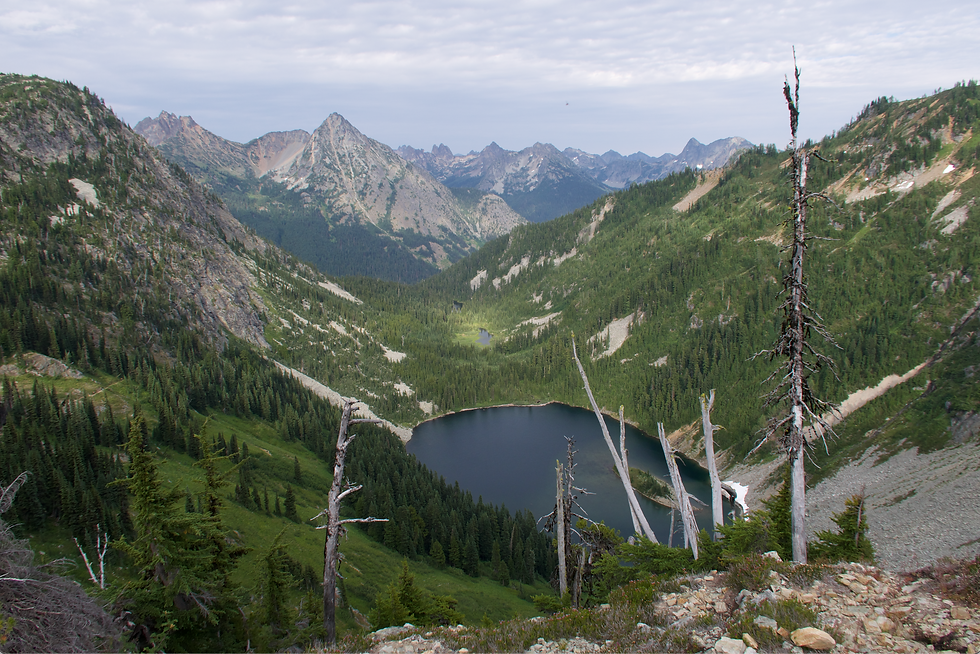A dark lake nestled in tree-covered mountains, with a few dead trees in the foreground. 