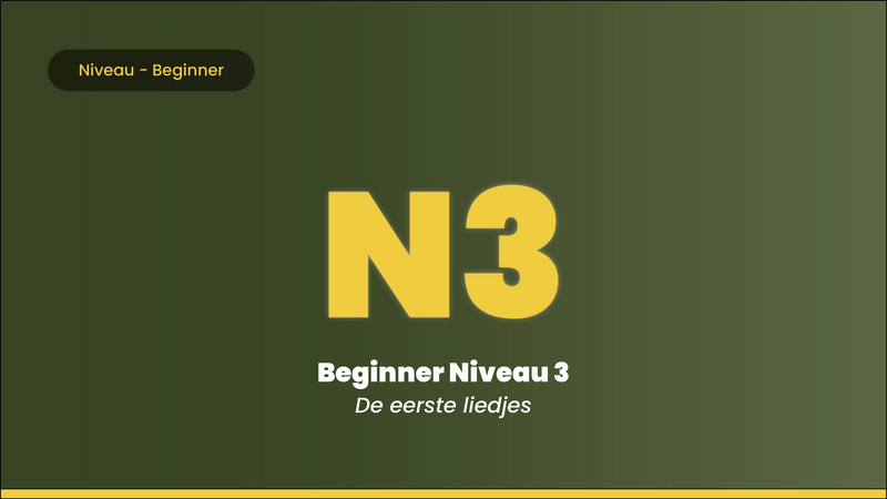 Leer Gitaar Spelen Beginners Niveau 3
