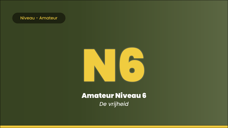 Leer Gitaar Spelen Amateurs Niveau
