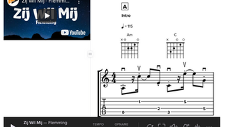 Zij Wil Mij - Flemming
