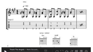 Thank The Angels - Niels Geusebroek