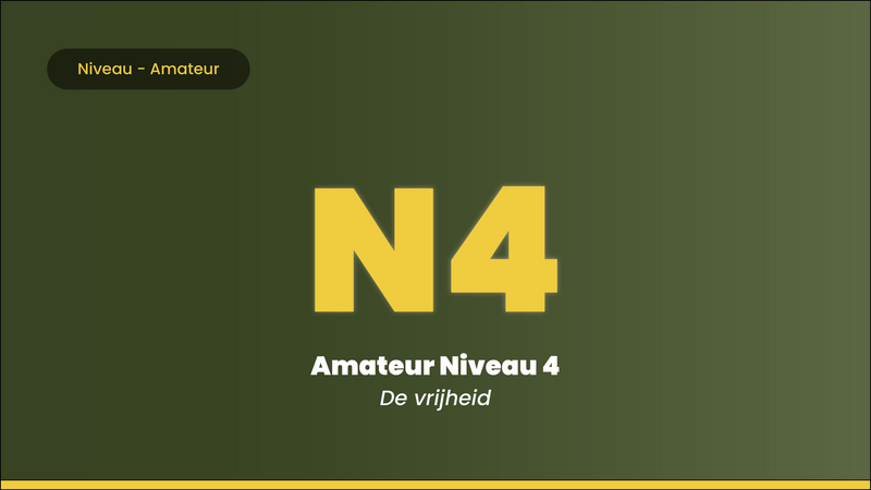 Leer Gitaar Spelen Amateurs Niveau
