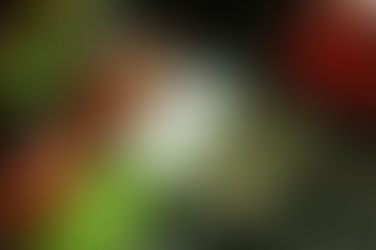 Hoe pedalen je gitaar veranderen: Een verkenning van verbazingwekkende gitaareffecten!