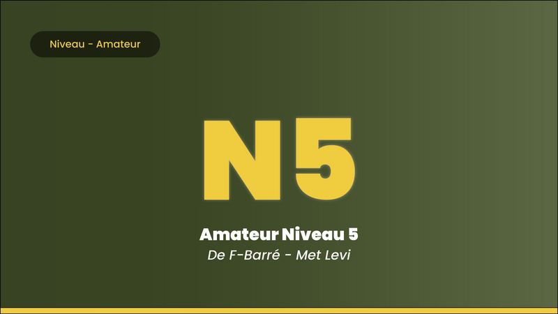 Leer Gitaar Spelen Amateurs Niveau
