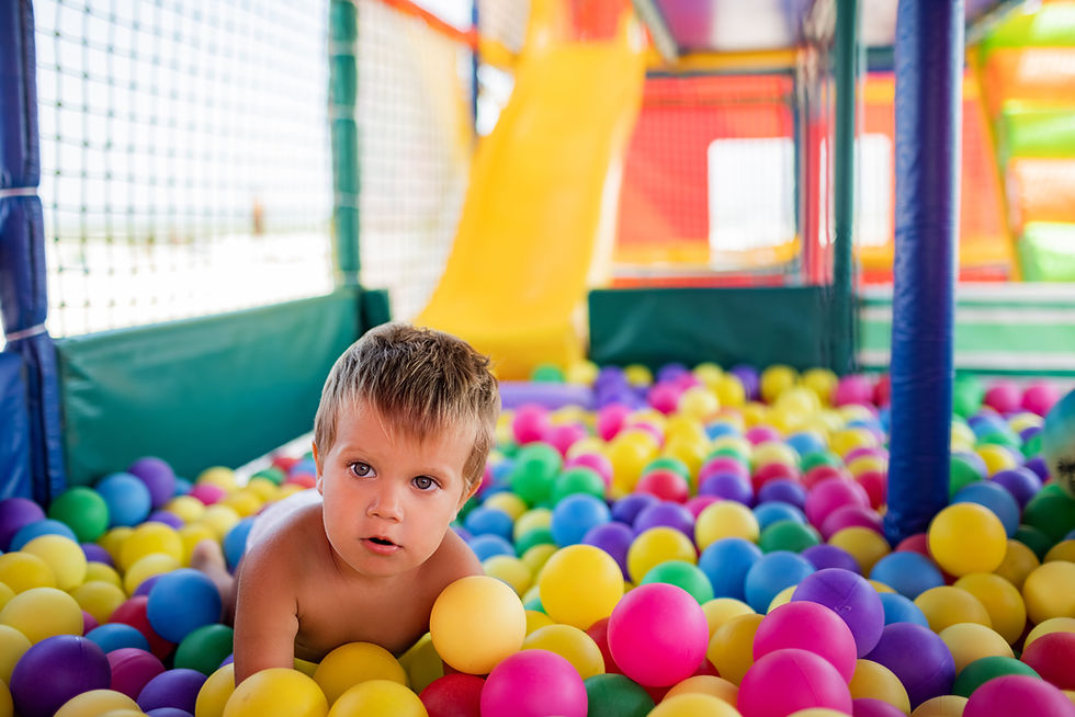 Choosing the Right Ball Pit Rental for Your Party Theme