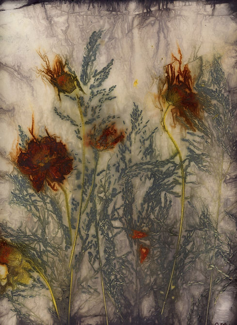 CM-Andropogon & cosmos bipannatus 9x12.jpg