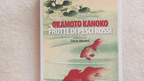 Frotte di pesci rossi: Okamoto Kanoko approda in Italia