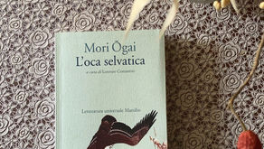 L'oca selvatica: di illusioni e separazioni