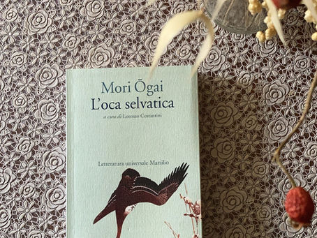 L'oca selvatica: di illusioni e separazioni