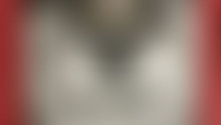 Epopea di una divisione