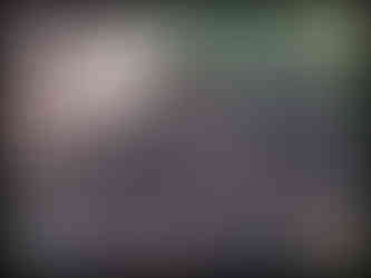 journeys & scorpions | travelblog | Morocco Atlas Mountain Route N9 | Aguelmouss | Melladi | Scorpion Buthus sp.