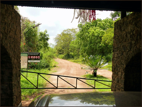 journeys & scorpions | travelblog | Sri Lanka | Wilpattu National Parc