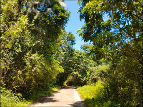 journeys and scorpions travelblog | Vietnam-Cuc Phuong National Park