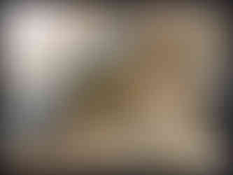 journeys & scorpions | travelblog | Morocco Imsouane | Scorpion | Buthus sp.