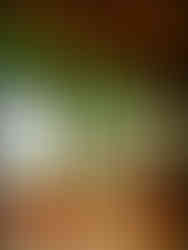 journeys and scorpions travelblog | Dominican Republic | Paradise Island Beach Resort, Punta Rucia