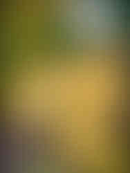 journeys and scorpions travelblog | Spain-Andalusia | Road to Sierra Nevada