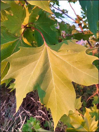journeys and scorpions travelblog | Spain-Andalusia | Road to Sierra Nevada