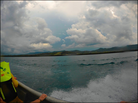 journeys and scorpions travelblog | Dominican Republic | Boatride to Mangroves