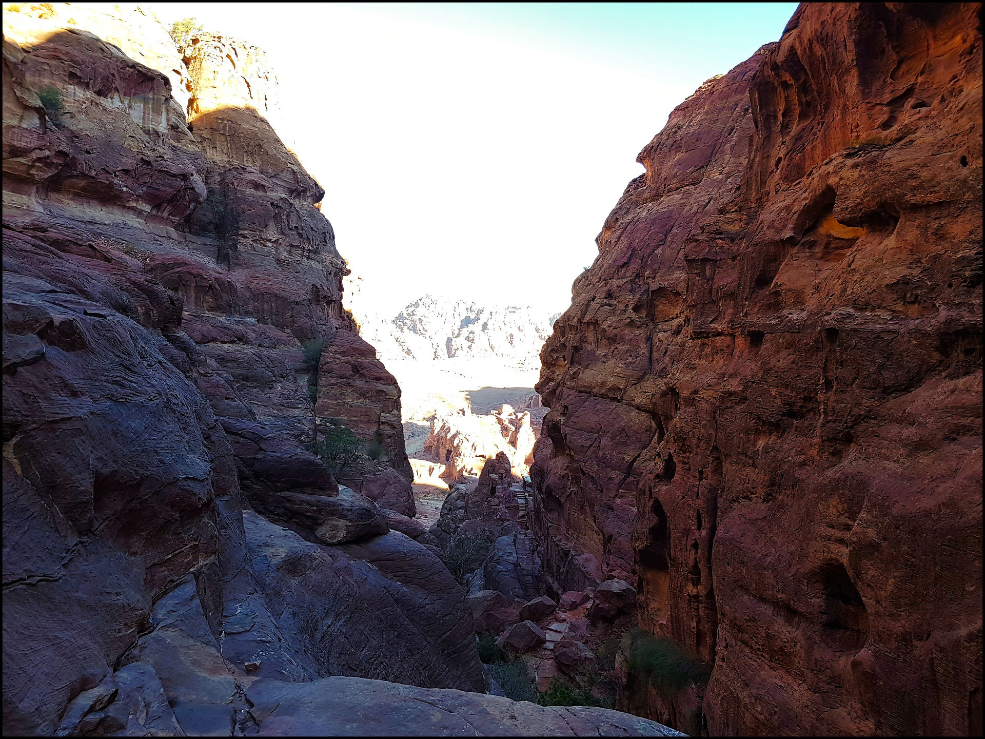 journeys and scorpions travelblog | Jordan-Petra