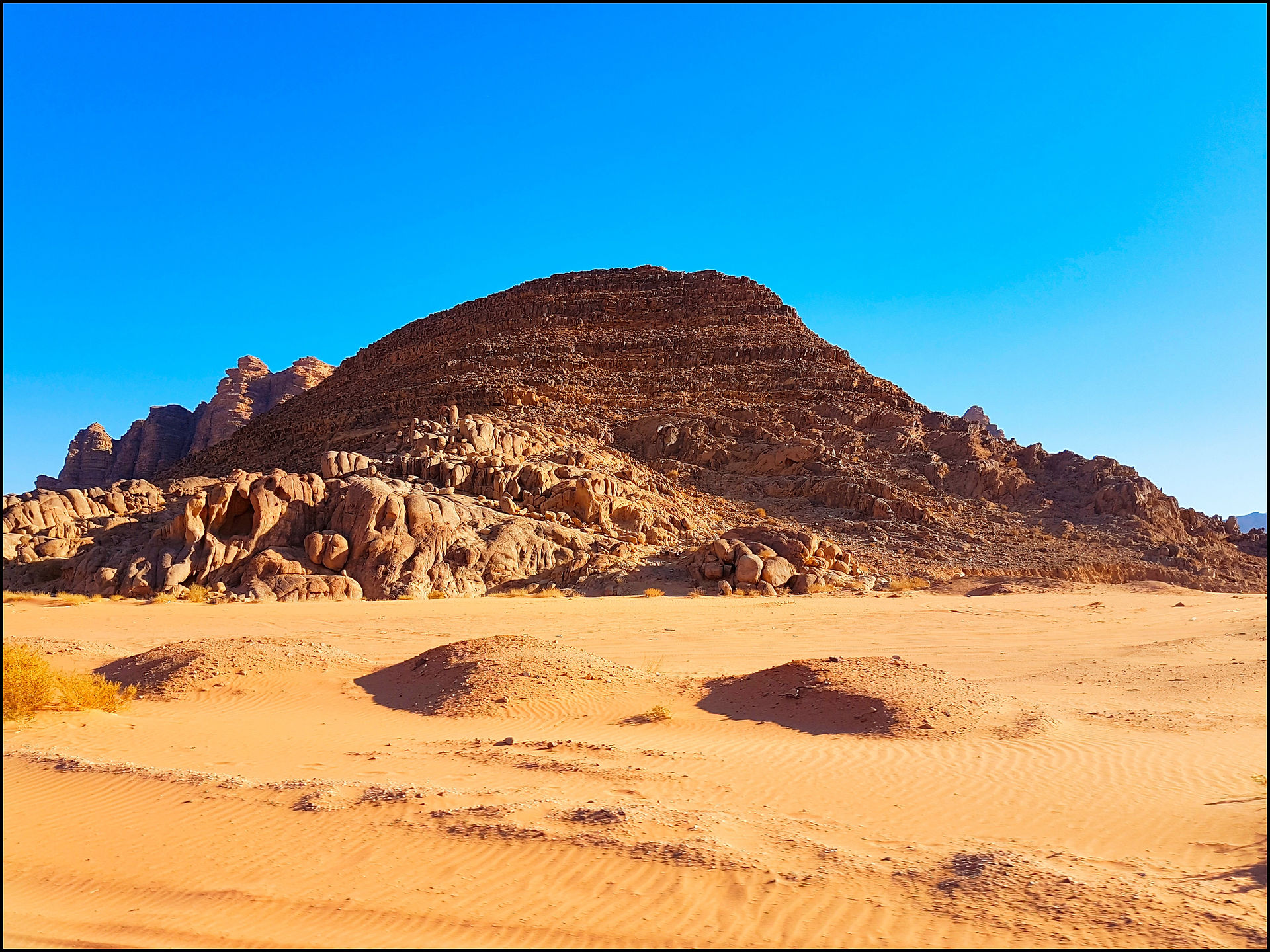 journeys and scorpions travelblog | Jordan, Wadi Rum, Orthochirus sp. and Leiurus hebraeus, Habitat