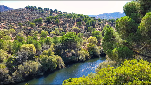 journeys and scorpions travelblog | Spain-Andalusia, Parque Natural Sierra de Andujar, Sierra Morena, Rio Jandula, Área recreativa del Encinarejo
