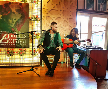 journeys and scorpions travelblog | Spain-Andalusia, Granada | Jardines de Zoraya, Flamenco Show