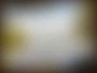 journeys & scorpions | travelblog | Sri Lanka | Wilpattu National Parc | Lake Wilpattu