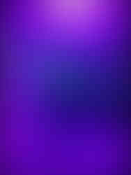 journeys & scorpions travel blog | Morocco Tamri | Scorpion Buthus sp.