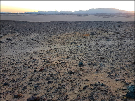 journeys and scorpions travelblog | Egypt, Makadi Bay | Scorpion, Leiurus sp., Habitat
