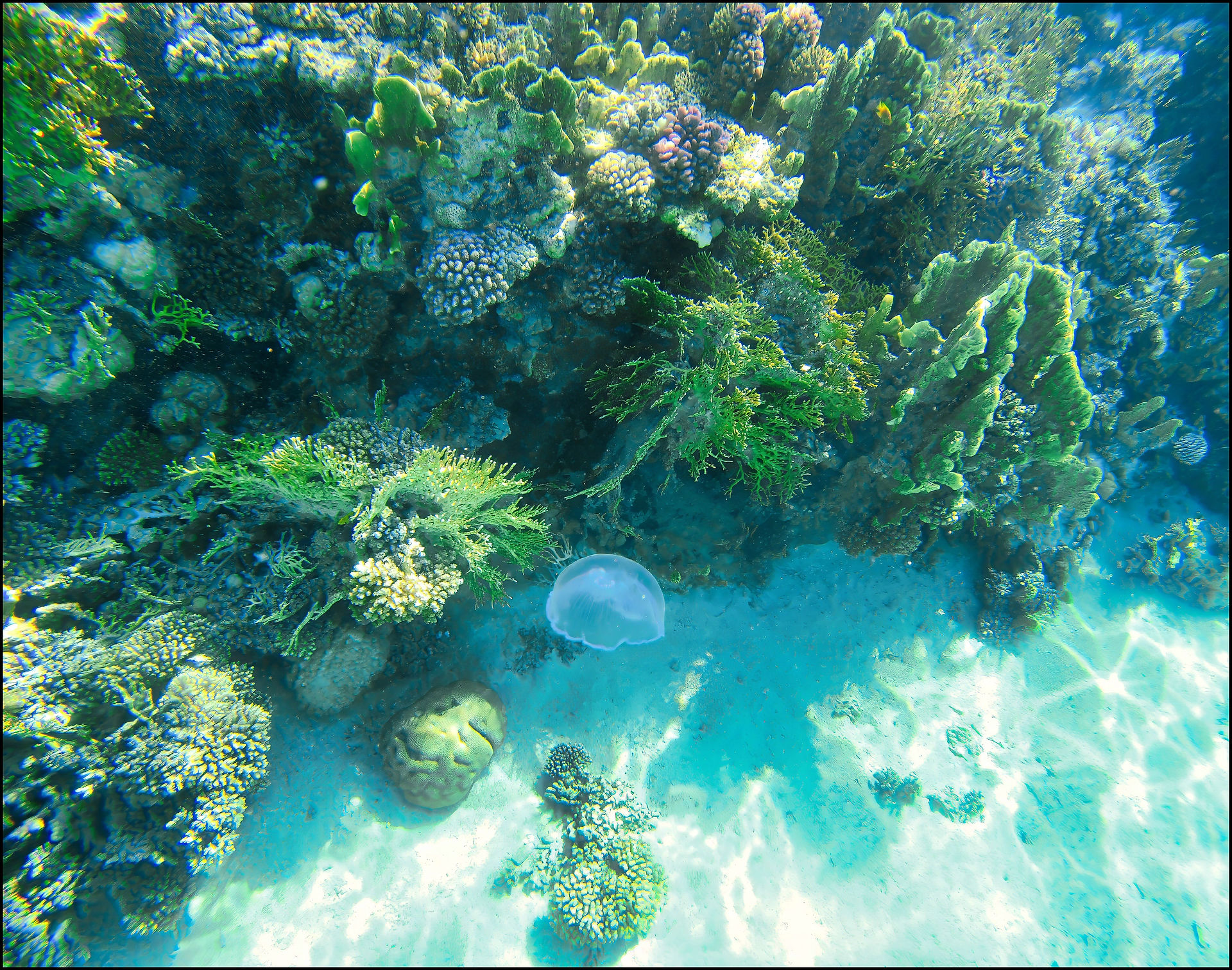 journeys and scorpions travelblog | Egypt, Makadi-Bay