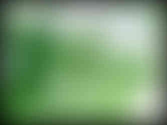 journeys & scorpions | travelblog | Thailand Phuket | Kathu Waterfall | Nephila sp. | Silk Orb weaver