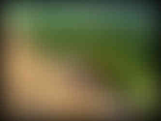 journeys & scorpions | travelblog | Sri Lanka | Sigiriya Rock