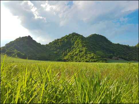journeys and scorpions travelblog | Vietnam-Drive to Cuc Phuong National Park