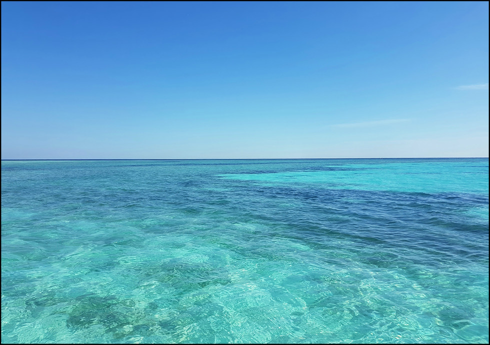 journeys and scorpions travelblog | Egypt, Makadi-Bay | Snorkel Tour
