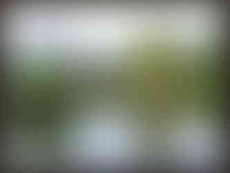 journeys & scorpions | travelblog | Sri Lanka | Monsoon disaster