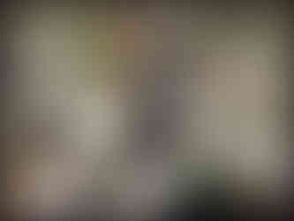 journeys & scorpions | travelblog | Morocco Atlas Mountain Route N9 | Source De Tichka | Qued Tichka | Tenebrionidae | Darkling Beetle | Pimelia sp.?